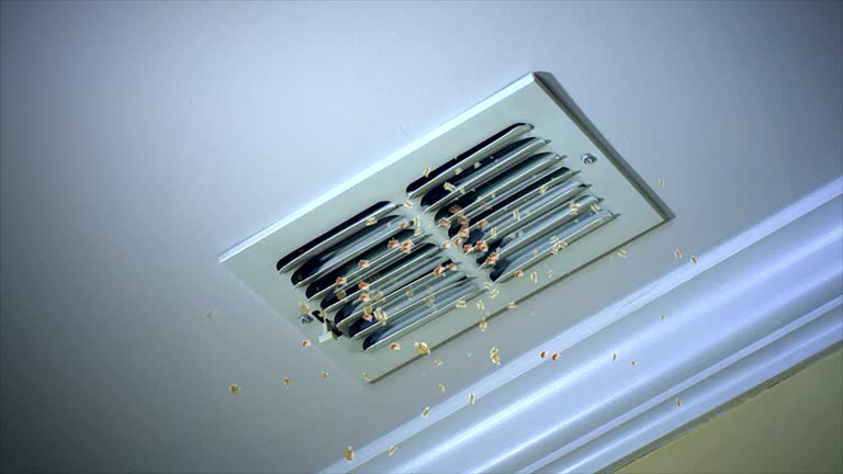 Best HVAC System Cleaning  in Auburn, CA